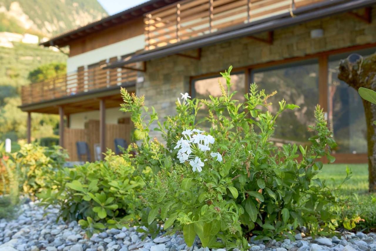Agriturismo De Bas ริวาเดลการ์ดา ภายนอก รูปภาพ